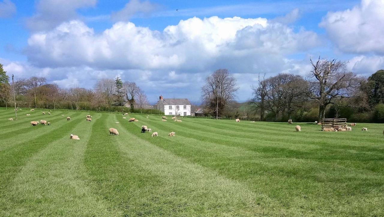 Lovaton Farmhouse Okehampton Eksteriør bilde