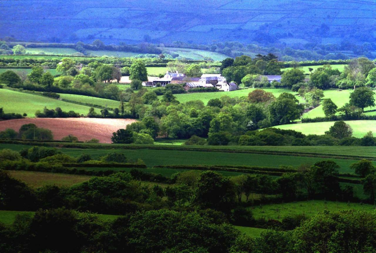 Lovaton Farmhouse Okehampton Eksteriør bilde