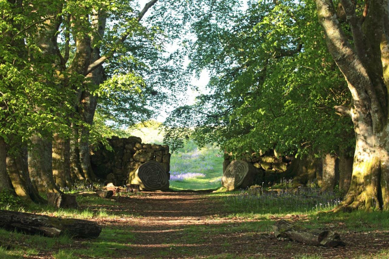 Lovaton Farmhouse Okehampton Eksteriør bilde