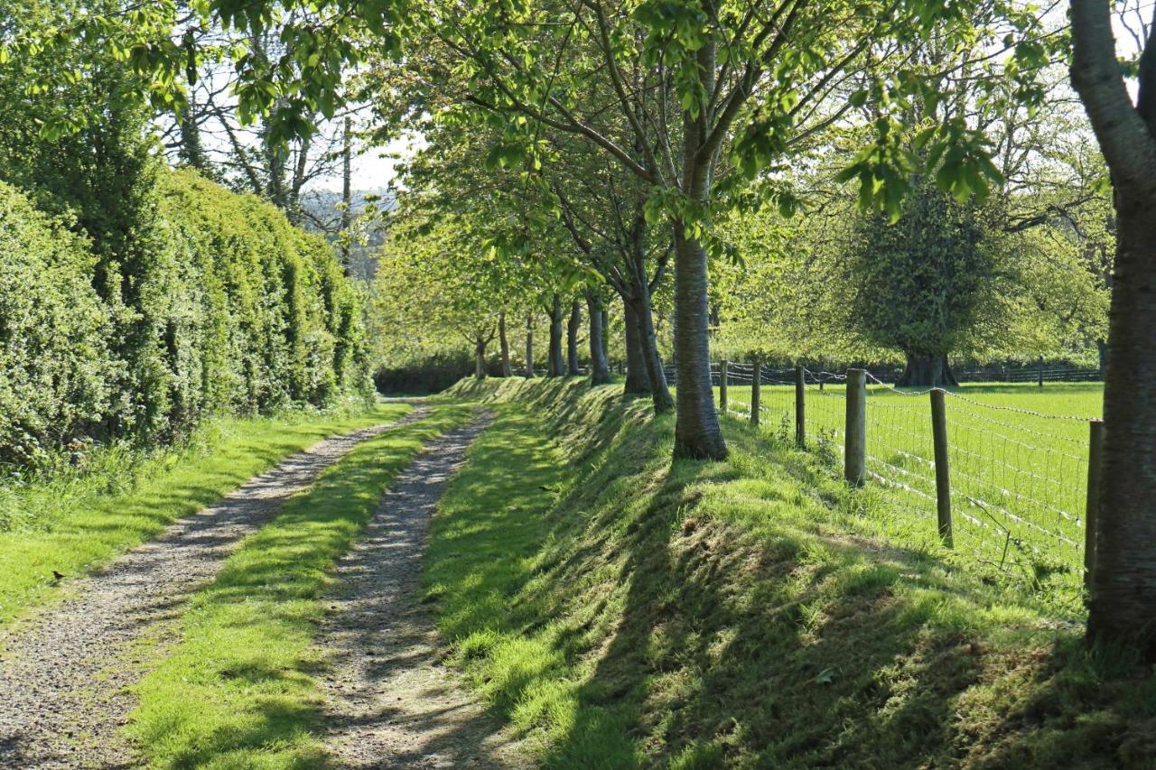 Lovaton Farmhouse Okehampton Eksteriør bilde